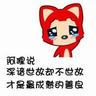 宠物知识书籍